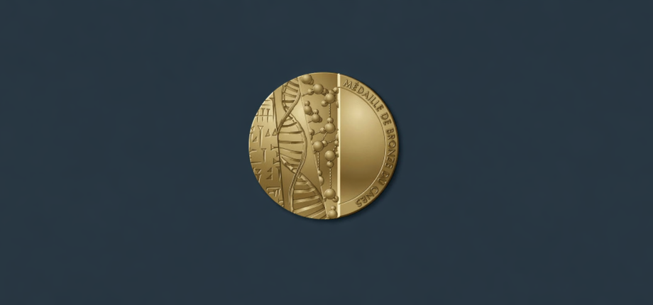 Trois chercheurs de l’Institut Polytechnique de Paris reçoivent la médaille de bronze 2026 du CNRS