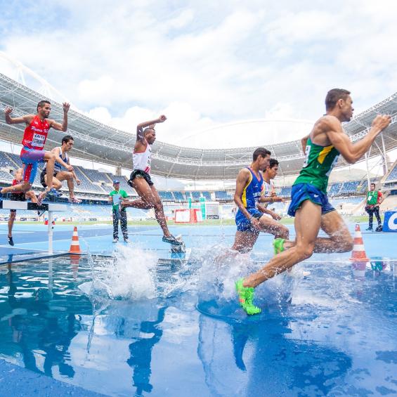 Sport, science and performance: Olympic triptych
